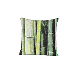 Load image into Gallery viewer, Emilio Robba Throw Pillow
