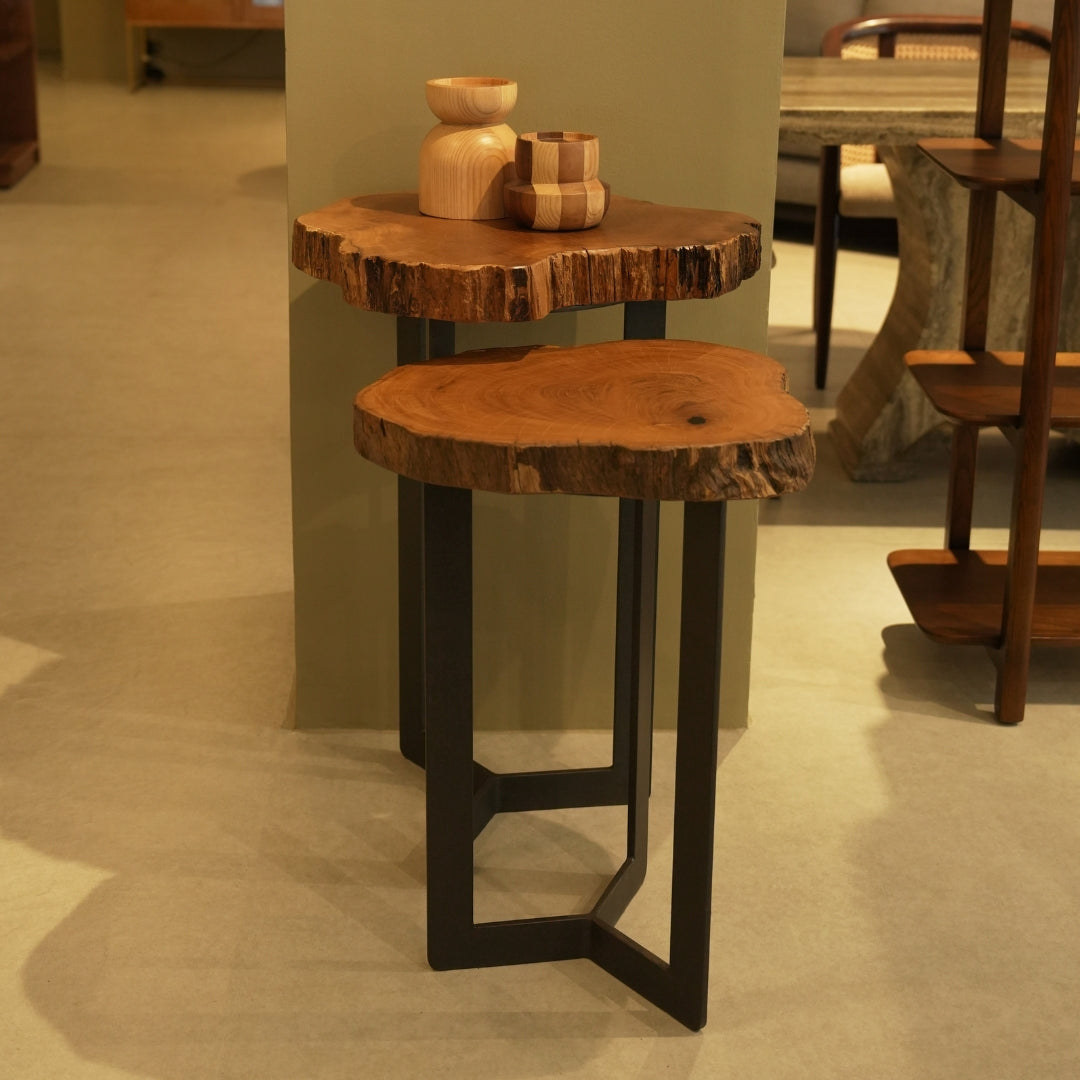 Molave  Live Edge Side Table | High